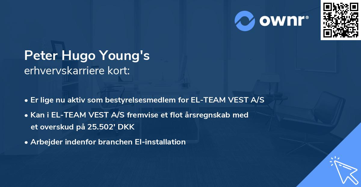Peter Hugo Young's erhvervskarriere kort