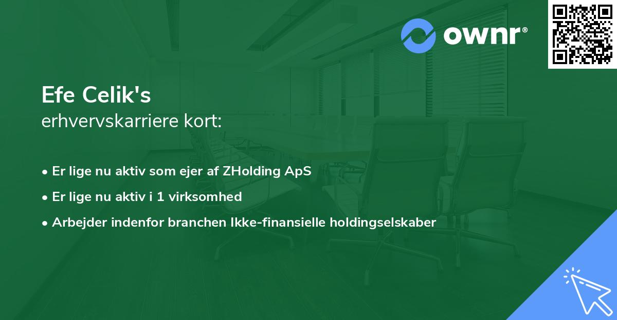 Efe Celik's erhvervskarriere kort