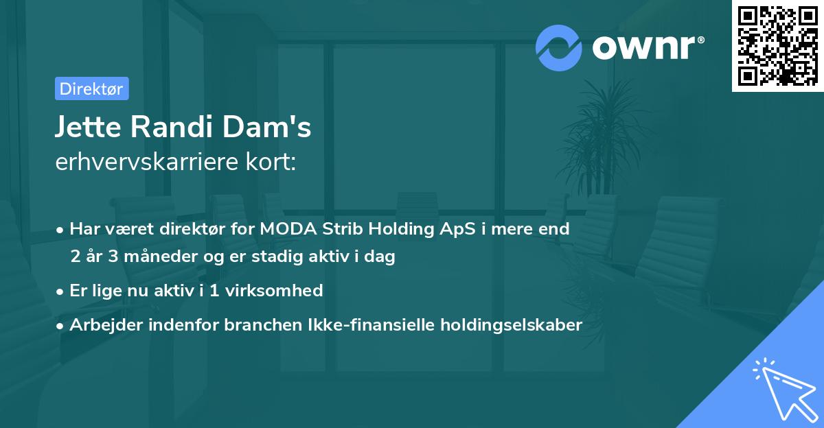 Jette Randi Dam's erhvervskarriere kort