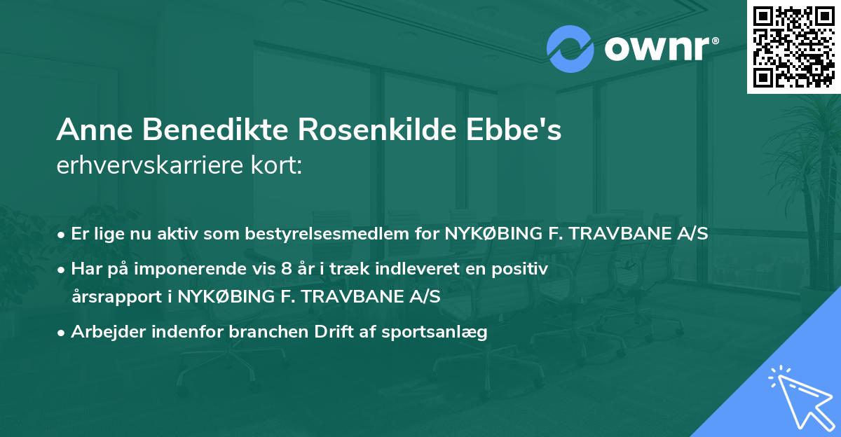 Anne Benedikte Rosenkilde Ebbe's erhvervskarriere kort
