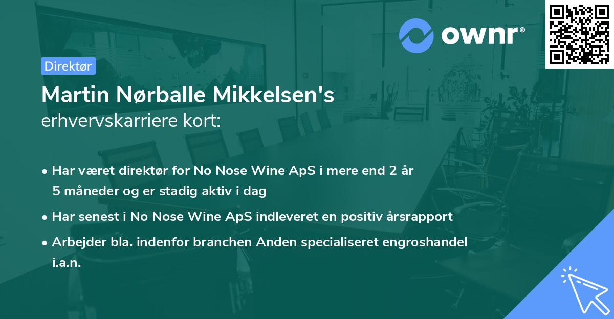 Martin Nørballe Mikkelsen's erhvervskarriere kort