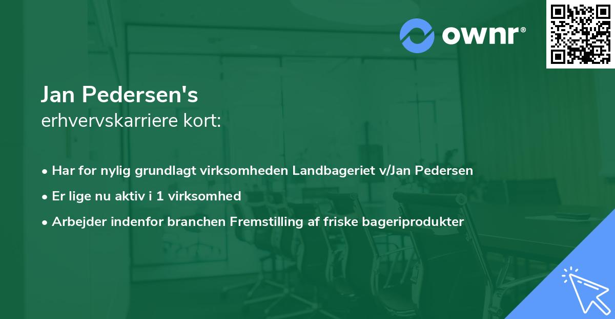 Jan Pedersen's erhvervskarriere kort