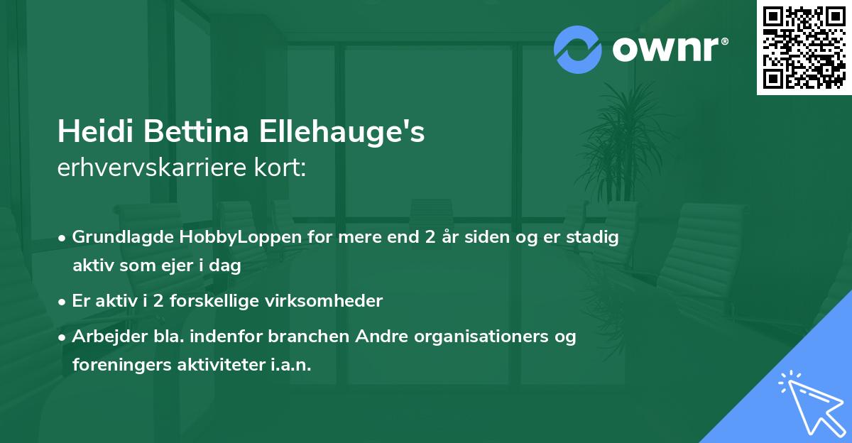 Heidi Bettina Ellehauge's erhvervskarriere kort