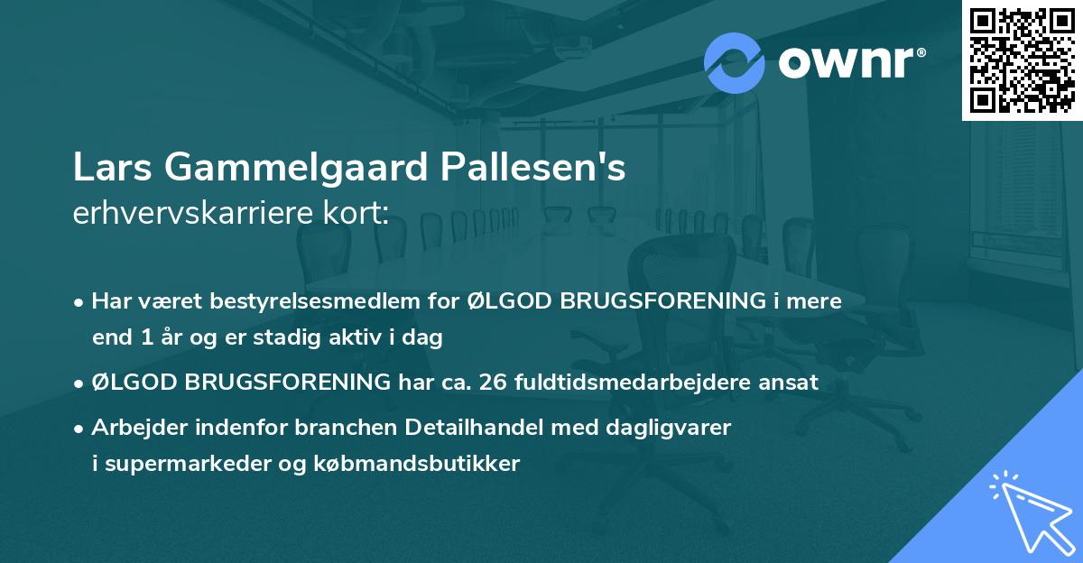 Lars Gammelgaard Pallesen's erhvervskarriere kort
