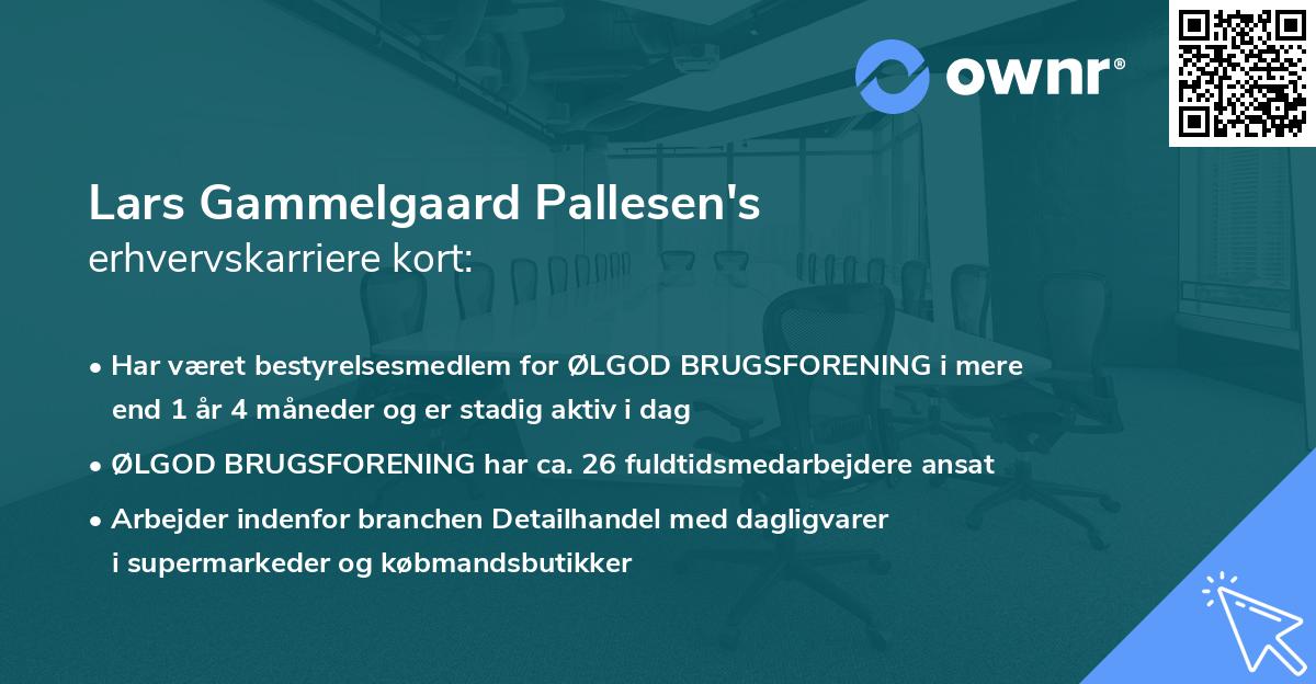 Lars Gammelgaard Pallesen's erhvervskarriere kort