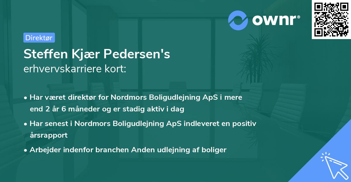Steffen Kjær Pedersen's erhvervskarriere kort