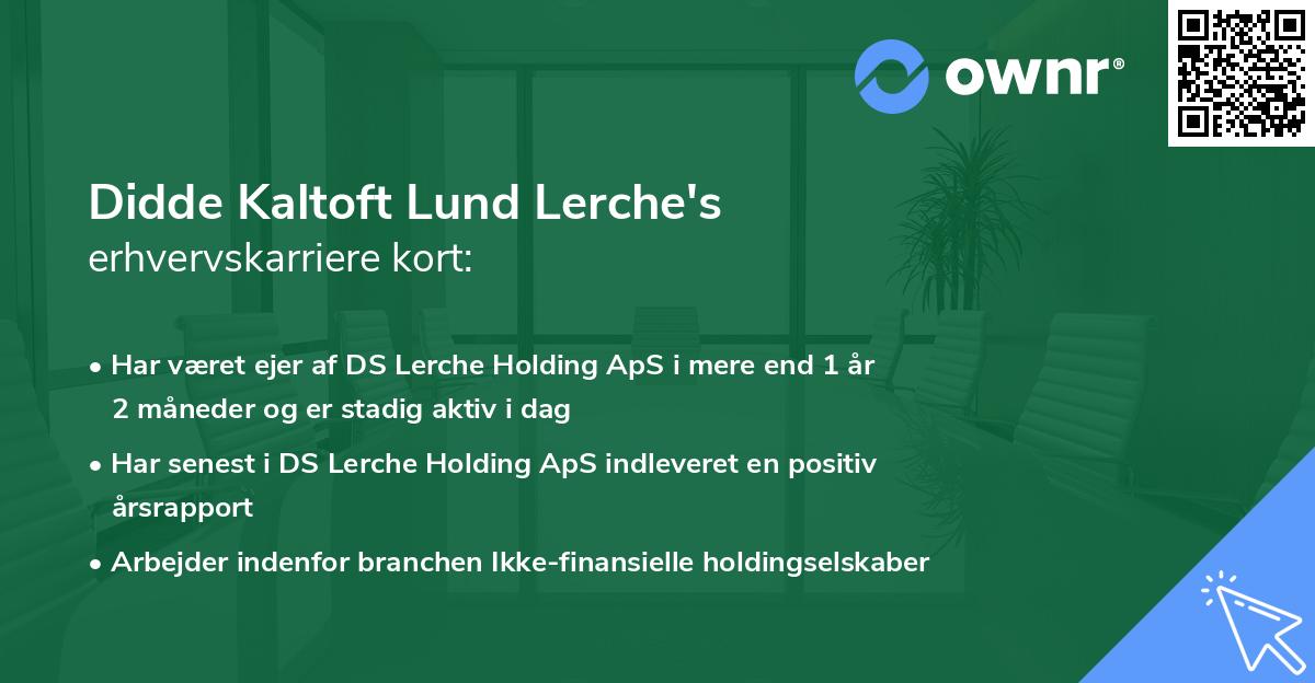 Didde Kaltoft Lund Lerche's erhvervskarriere kort