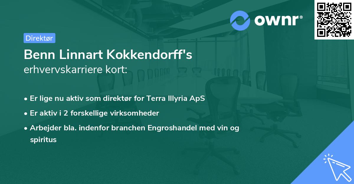 Benn Linnart Kokkendorff's erhvervskarriere kort