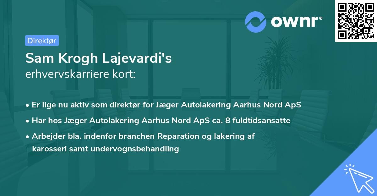 Sam Krogh Lajevardi's erhvervskarriere kort