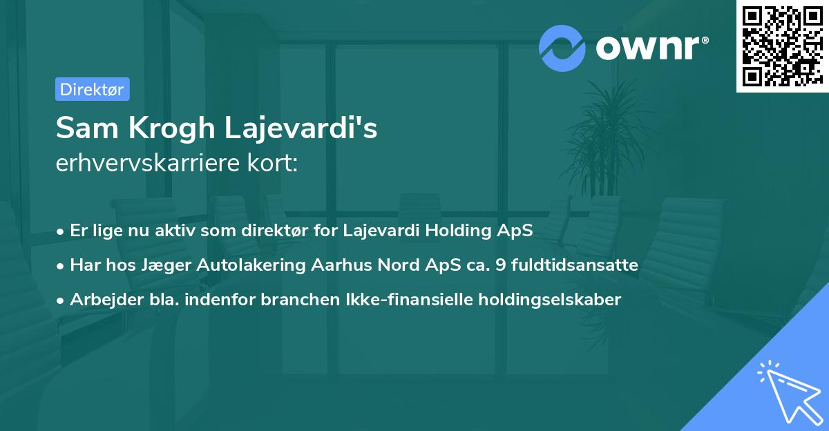 Sam Krogh Lajevardi's erhvervskarriere kort