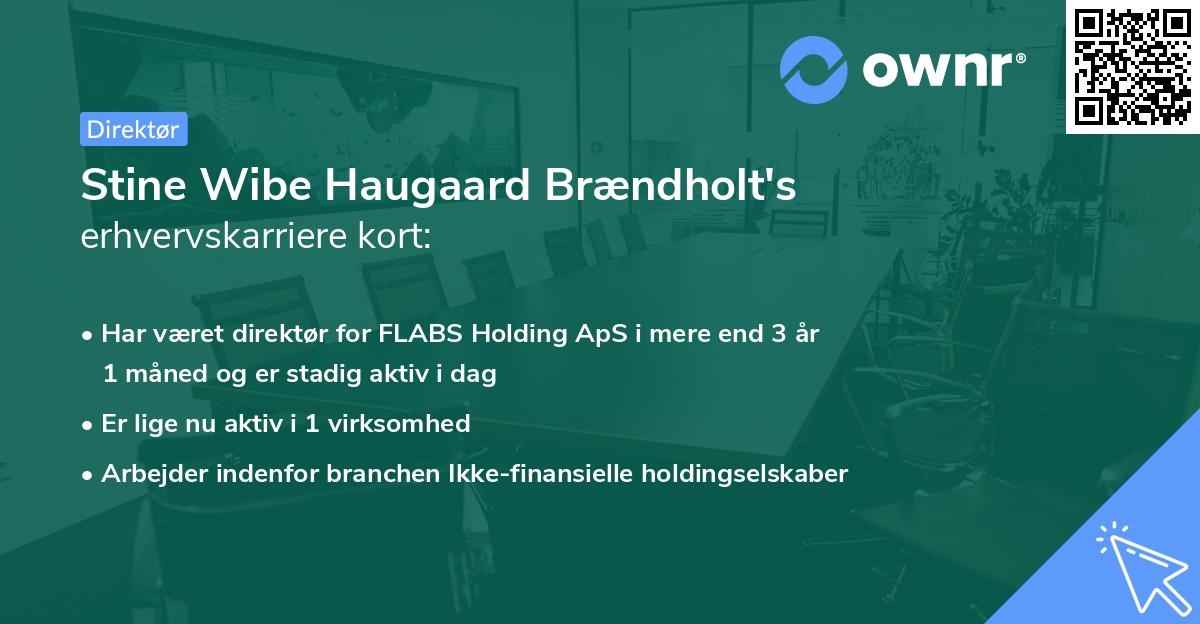 Stine Wibe Haugaard Brændholt's erhvervskarriere kort