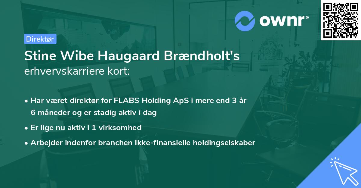 Stine Wibe Haugaard Brændholt's erhvervskarriere kort