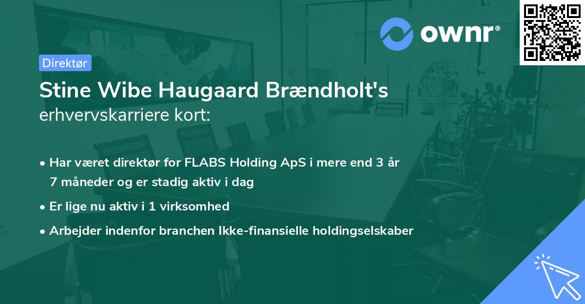 Stine Wibe Haugaard Brændholt's erhvervskarriere kort