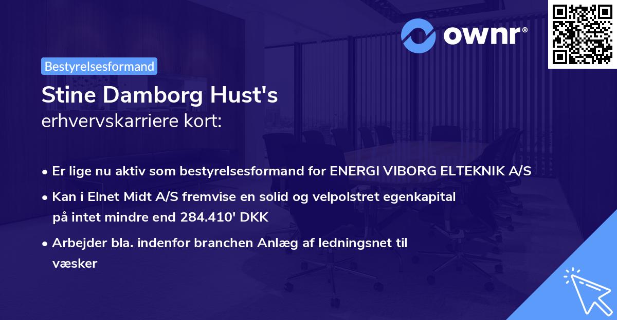 Stine Damborg Hust's erhvervskarriere kort