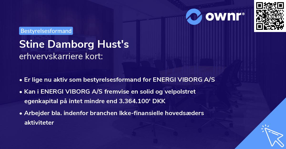 Stine Damborg Hust's erhvervskarriere kort