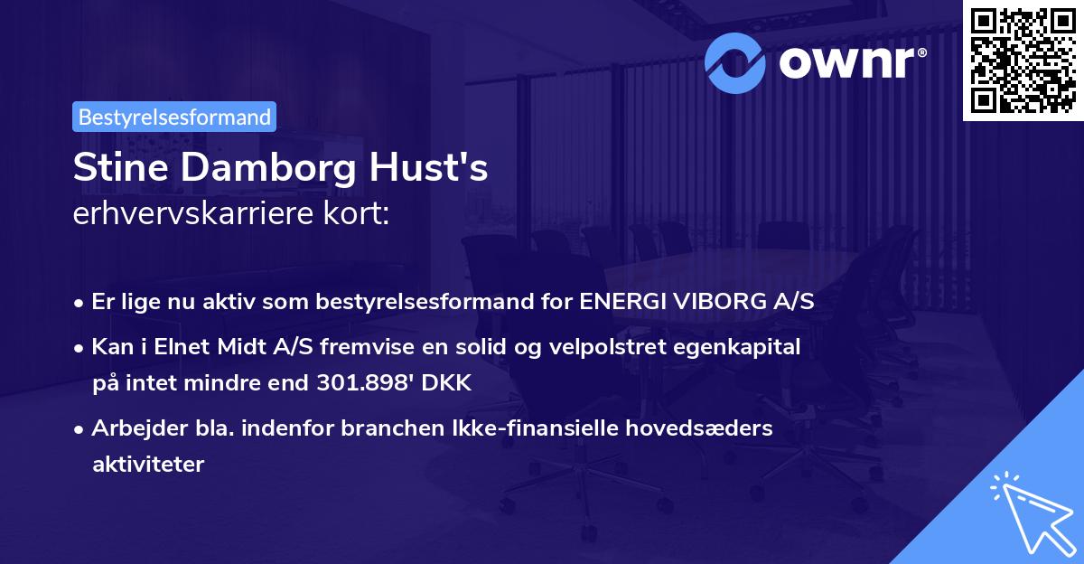 Stine Damborg Hust's erhvervskarriere kort