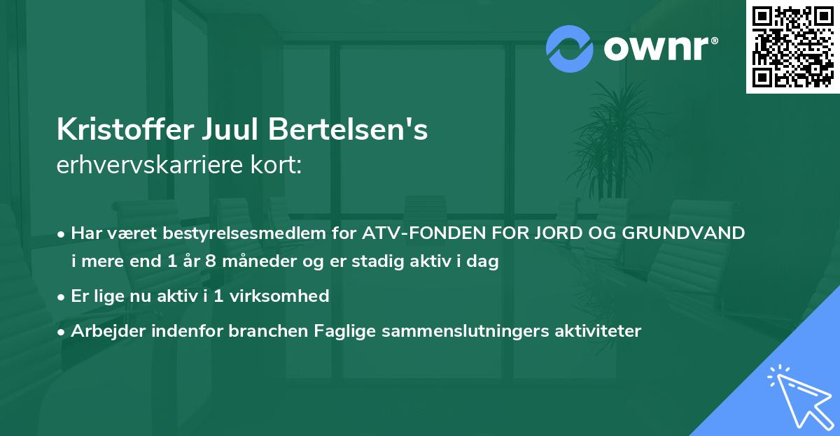 Kristoffer Juul Bertelsen's erhvervskarriere kort