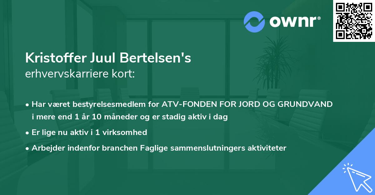 Kristoffer Juul Bertelsen's erhvervskarriere kort