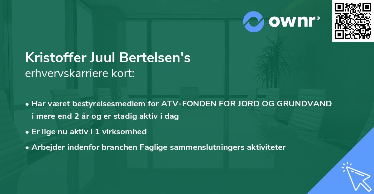Kristoffer Juul Bertelsen's erhvervskarriere kort