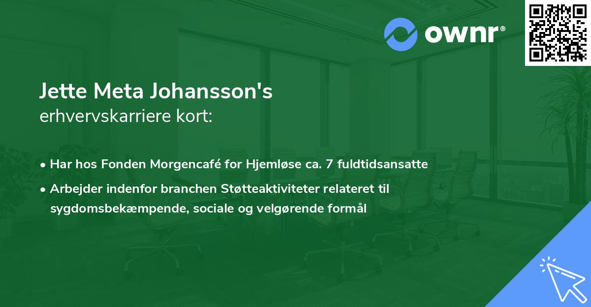 Jette Meta Johansson's erhvervskarriere kort