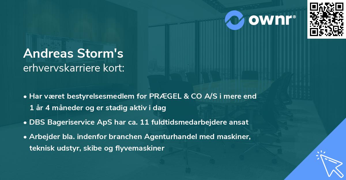 Andreas Storm's erhvervskarriere kort