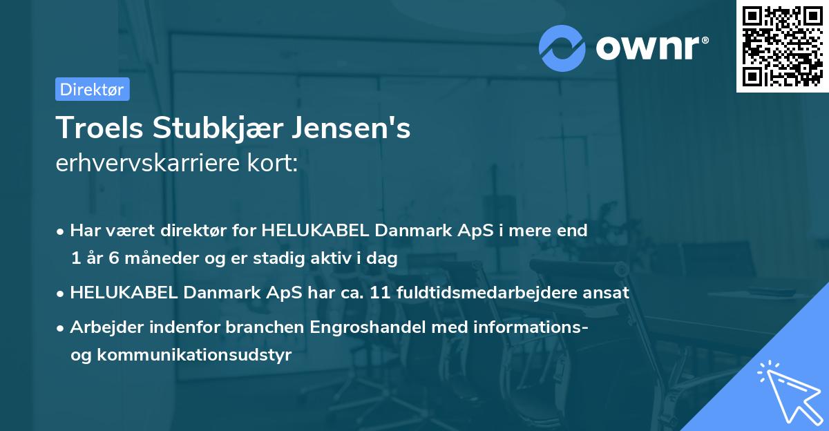 Troels Stubkjær Jensen's erhvervskarriere kort