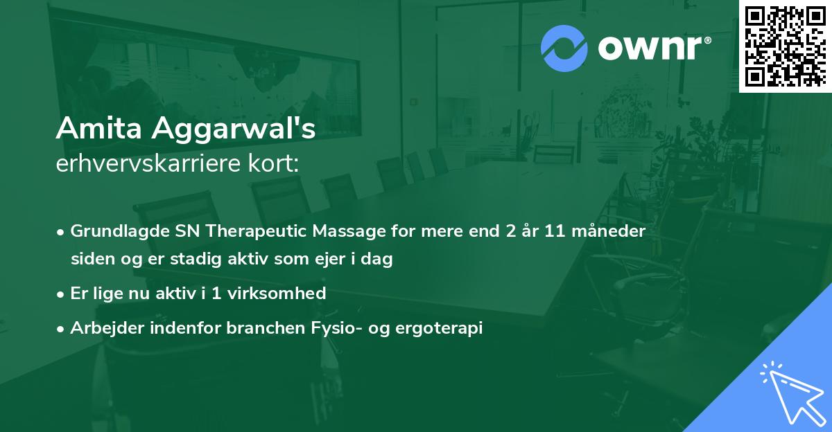 Amita Aggarwal's erhvervskarriere kort