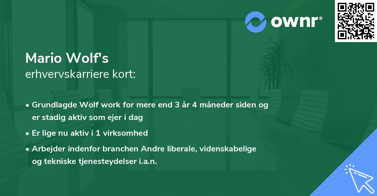 Mario Wolf's erhvervskarriere kort