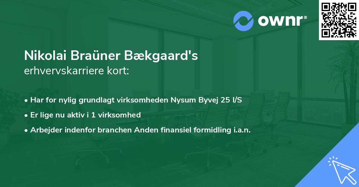 Nikolai Braüner Bækgaard's erhvervskarriere kort