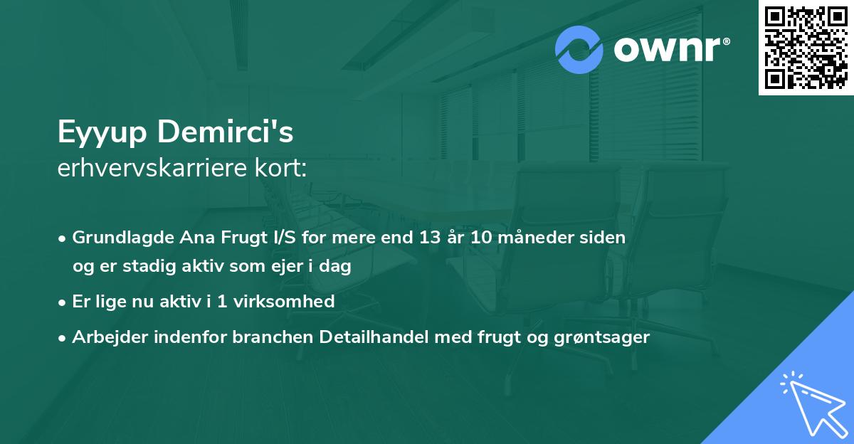 Eyyup Demirci's erhvervskarriere kort