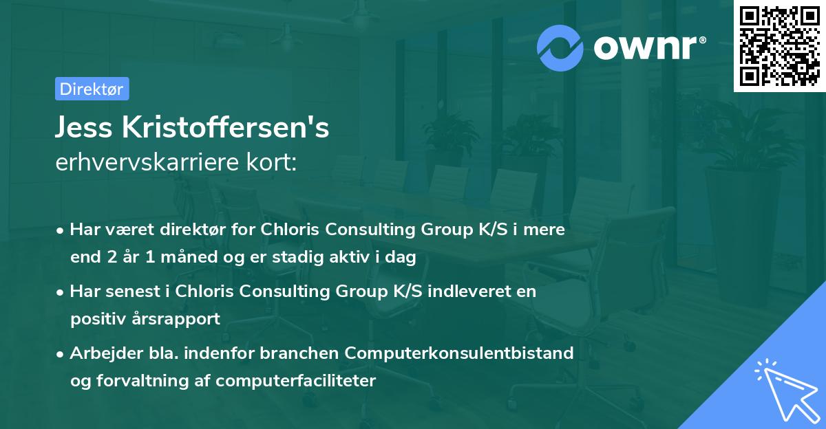 Jess Kristoffersen's erhvervskarriere kort