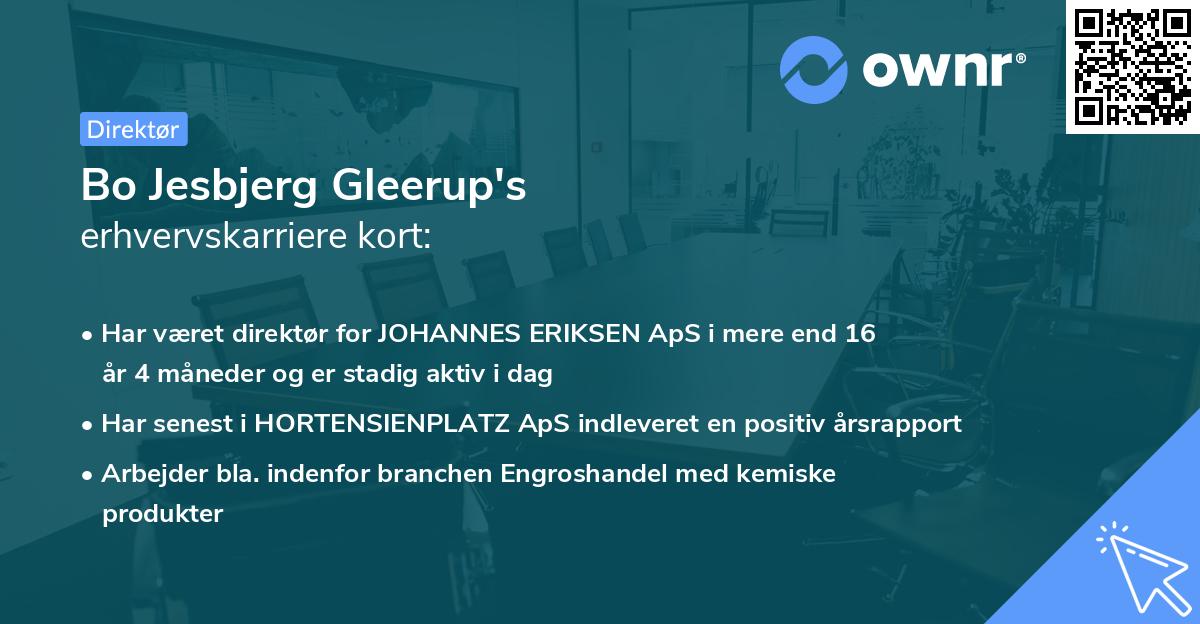 Bo Jesbjerg Gleerup's erhvervskarriere kort