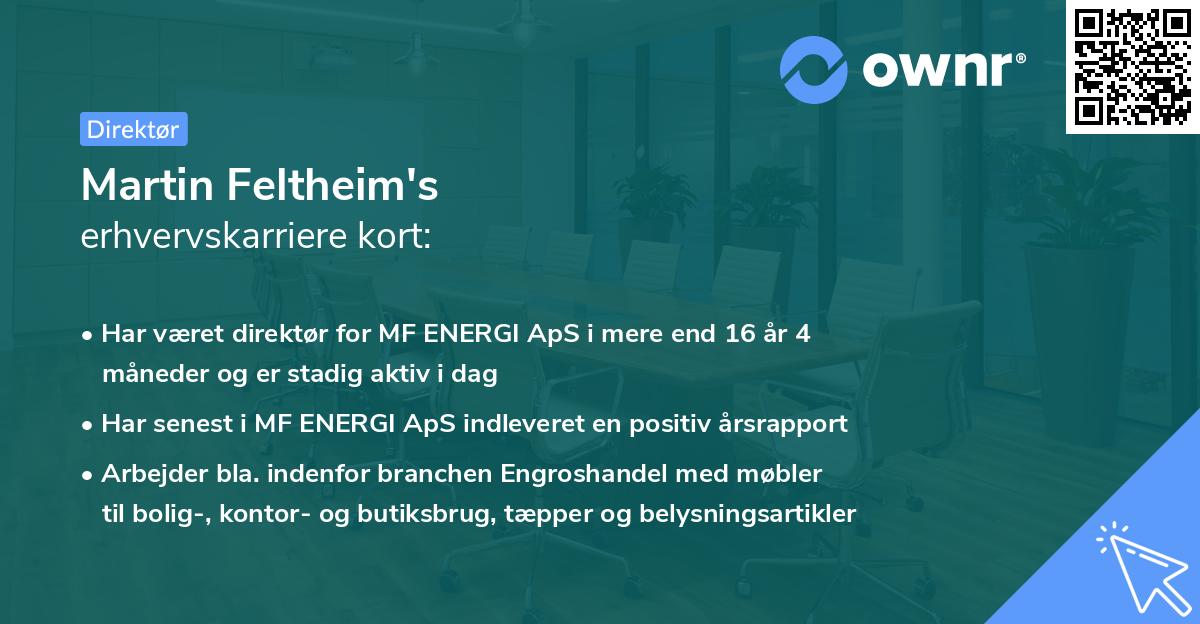 Martin Feltheim's erhvervskarriere kort