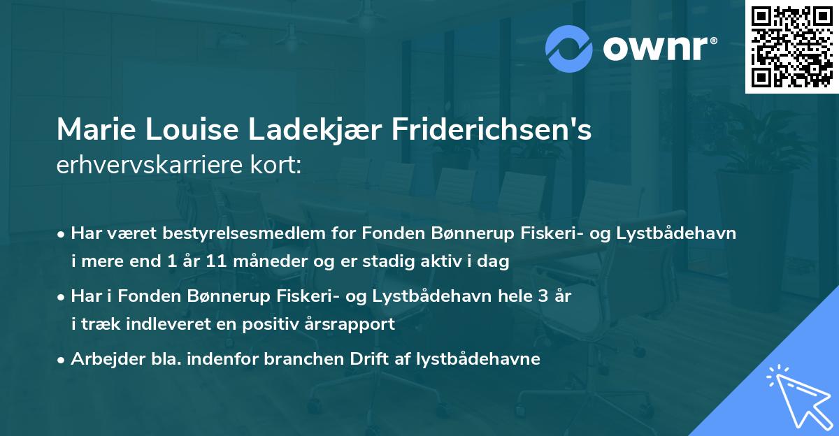 Marie Louise Ladekjær Friderichsen's erhvervskarriere kort