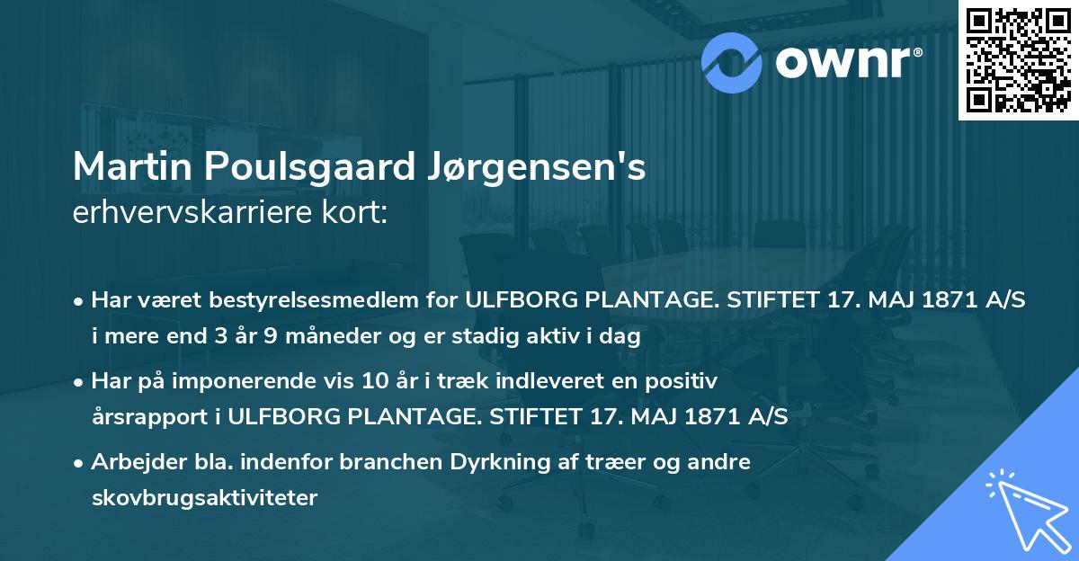 Martin Poulsgaard Jørgensen's erhvervskarriere kort