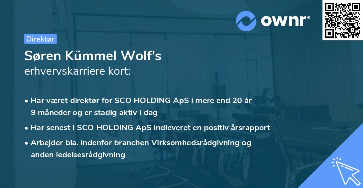 Søren Kümmel Wolf's erhvervskarriere kort