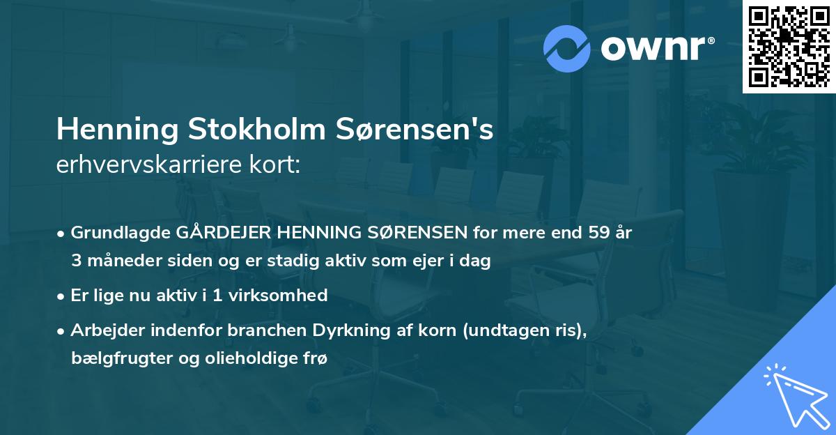 Henning Stokholm Sørensen's erhvervskarriere kort