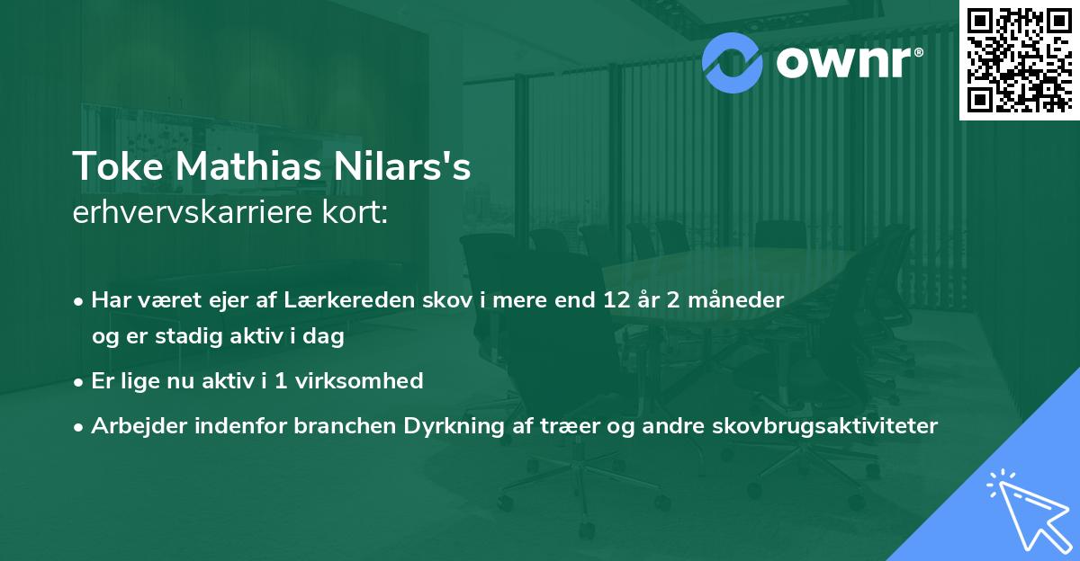Toke Mathias Nilars's erhvervskarriere kort