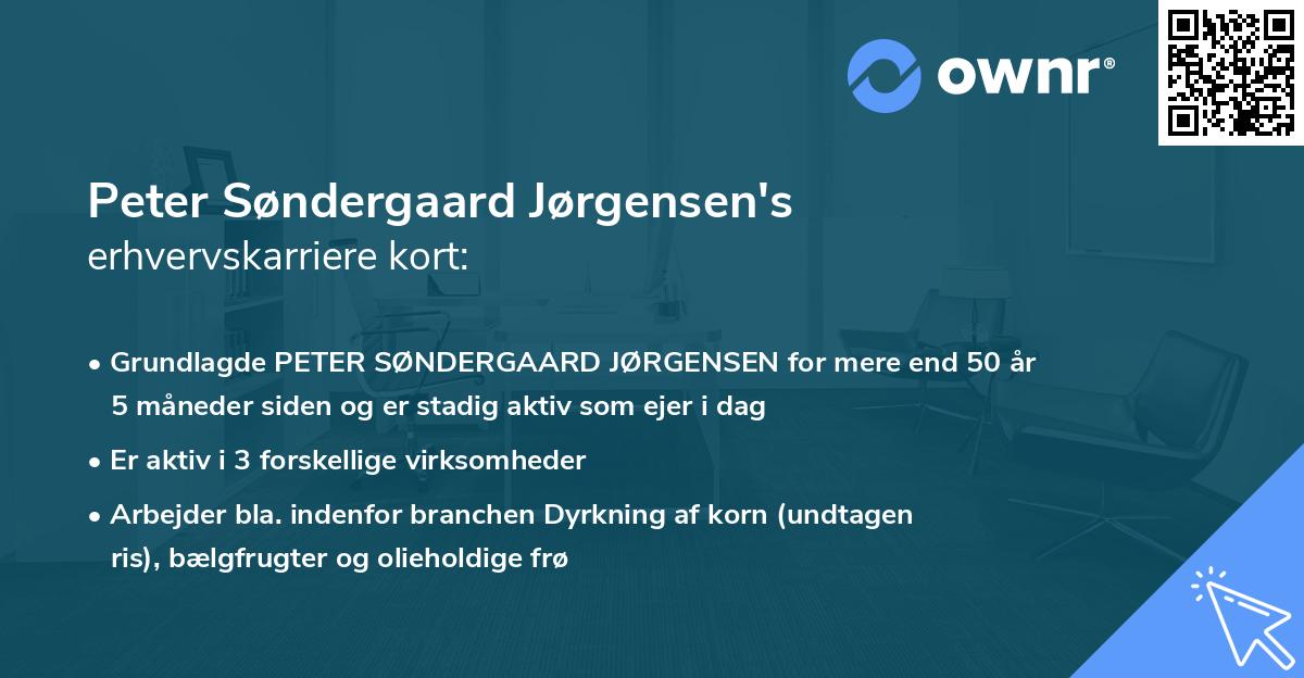 Peter Søndergaard Jørgensen's erhvervskarriere kort