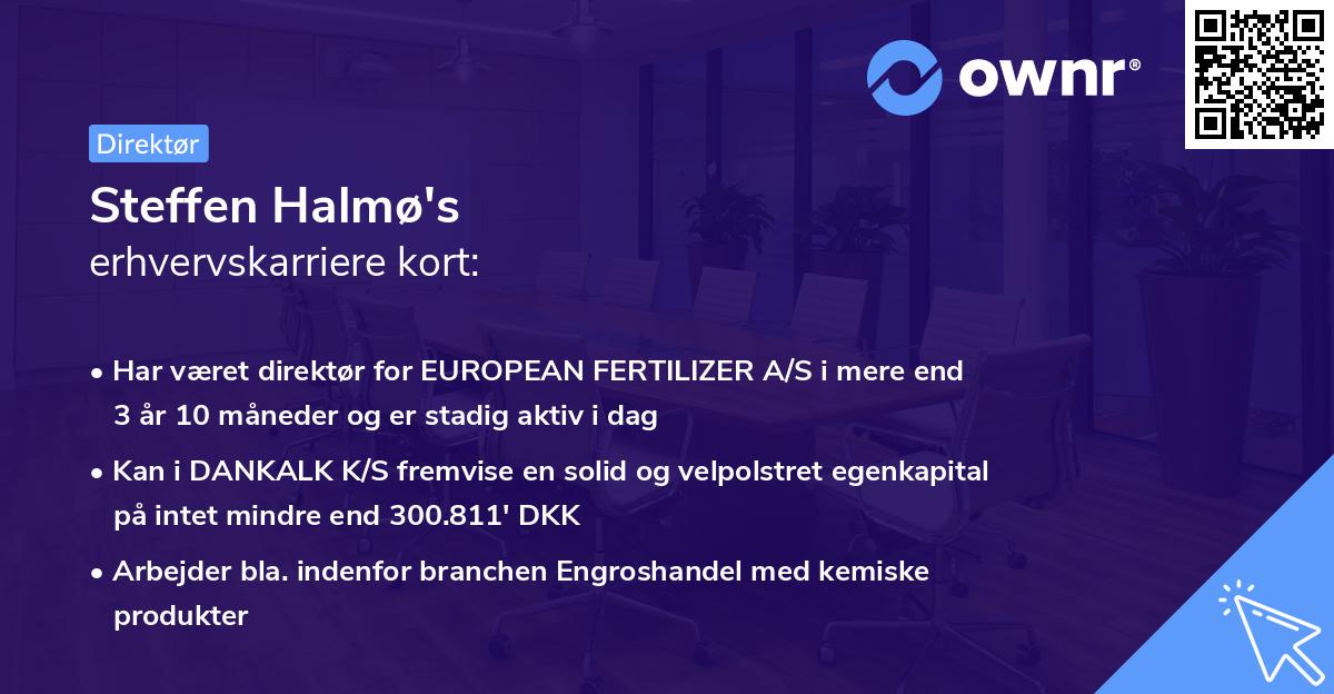 Steffen Halmø's erhvervskarriere kort