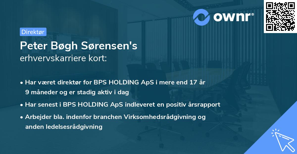 Peter Bøgh Sørensen's erhvervskarriere kort