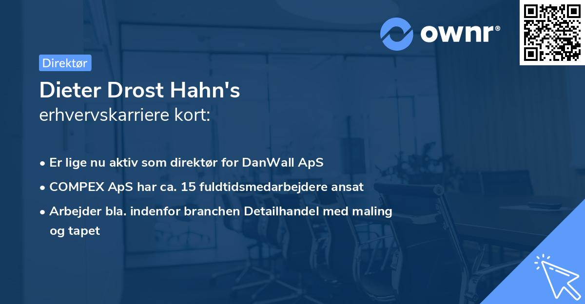 Dieter Drost Hahn's erhvervskarriere kort