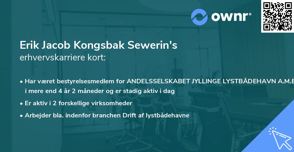 Erik Jacob Kongsbak Sewerin's erhvervskarriere kort
