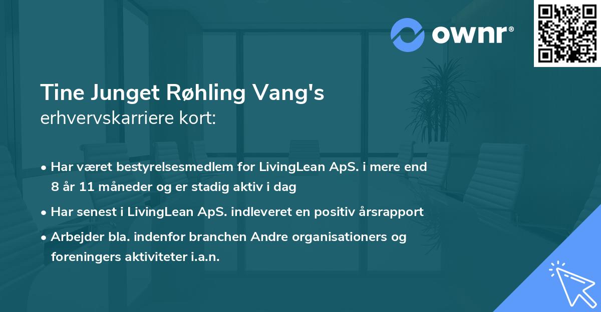 Tine Junget Røhling Vang's erhvervskarriere kort