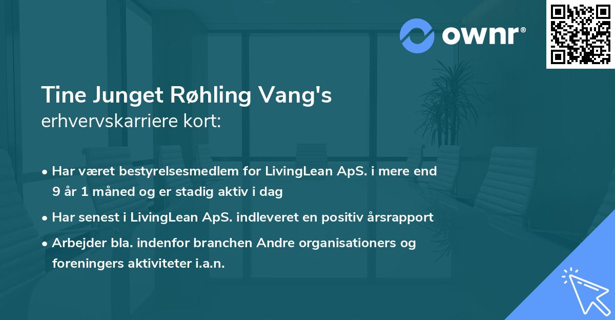 Tine Junget Røhling Vang's erhvervskarriere kort