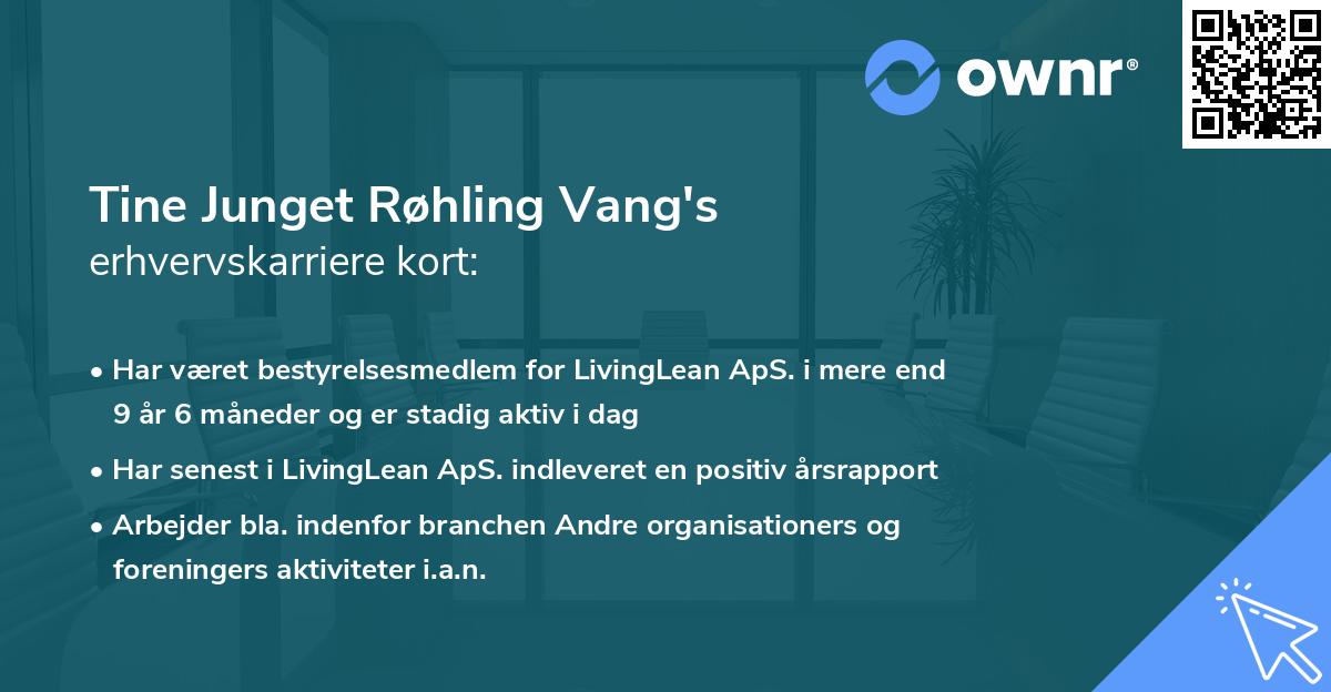 Tine Junget Røhling Vang's erhvervskarriere kort
