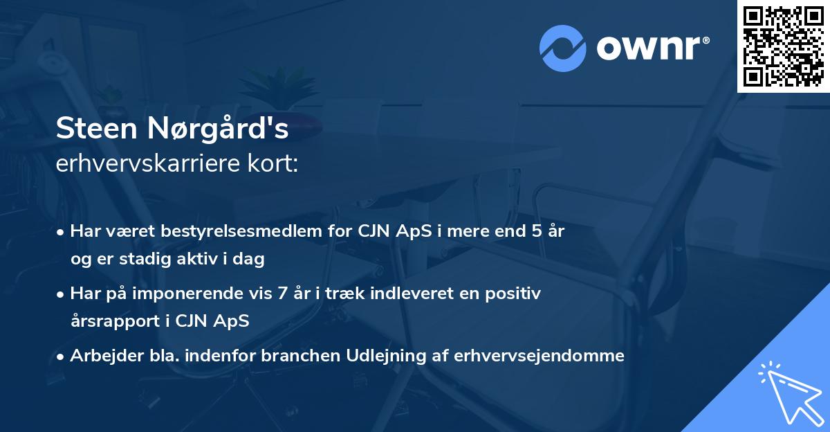 Steen Nørgård's erhvervskarriere kort