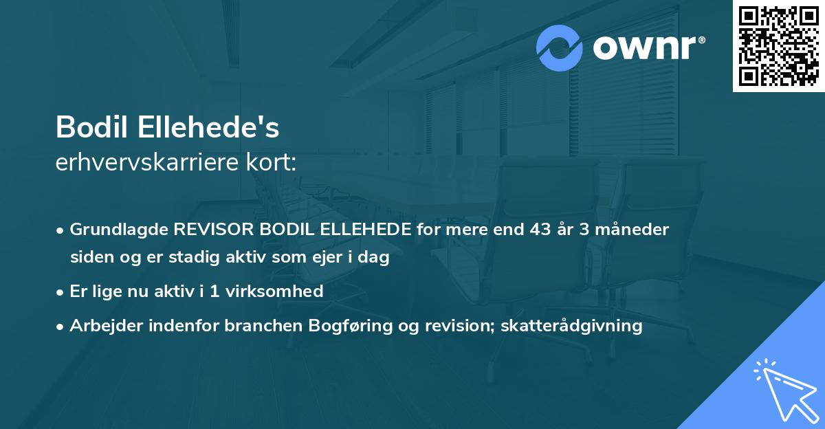 Bodil Ellehede's erhvervskarriere kort