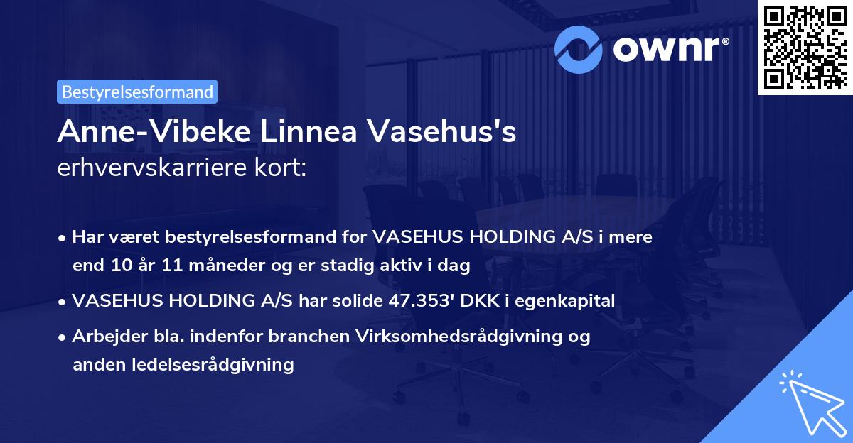 Anne-Vibeke Linnea Vasehus's erhvervskarriere kort