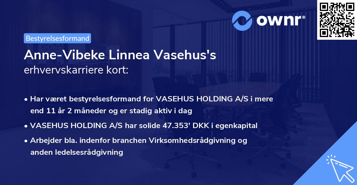 Anne-Vibeke Linnea Vasehus's erhvervskarriere kort